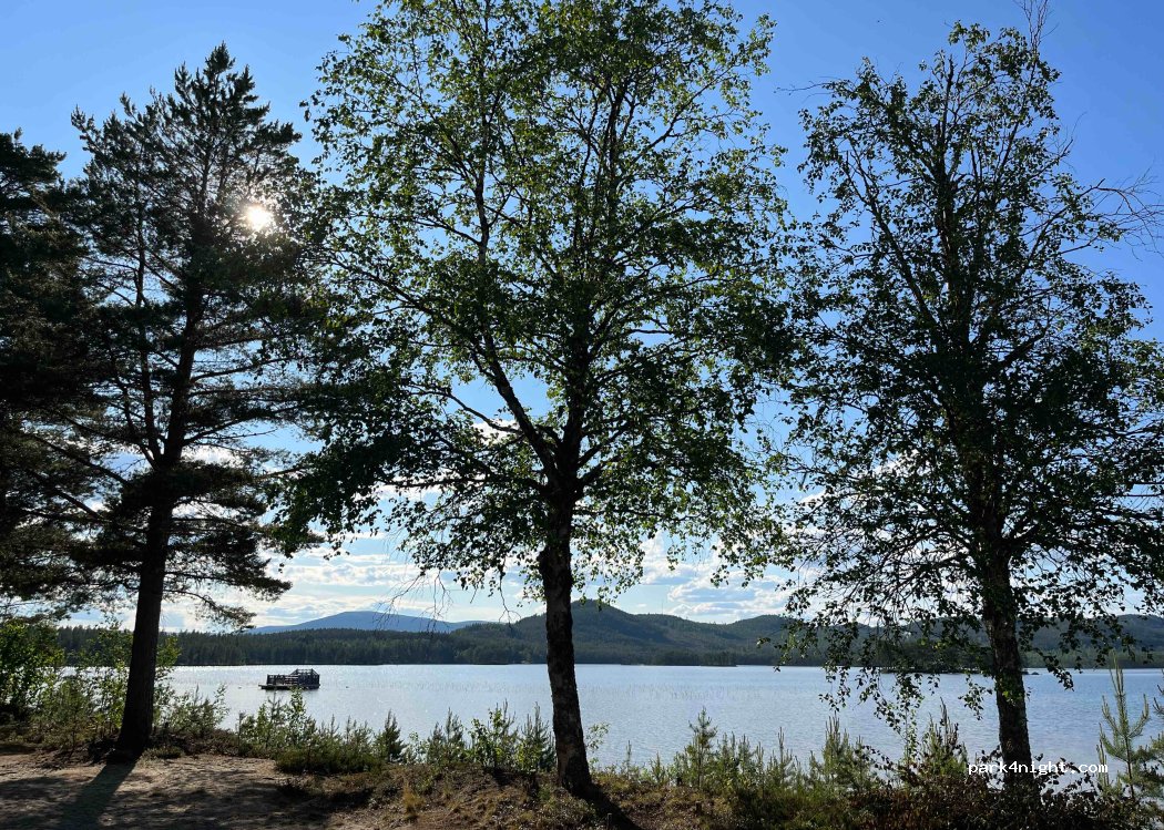 (842 91) Linsell - — foto 4