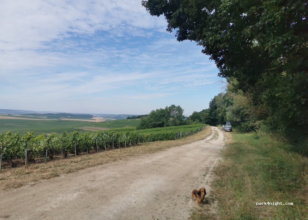 (51150) Bouzy - Unnamed Road — foto 2