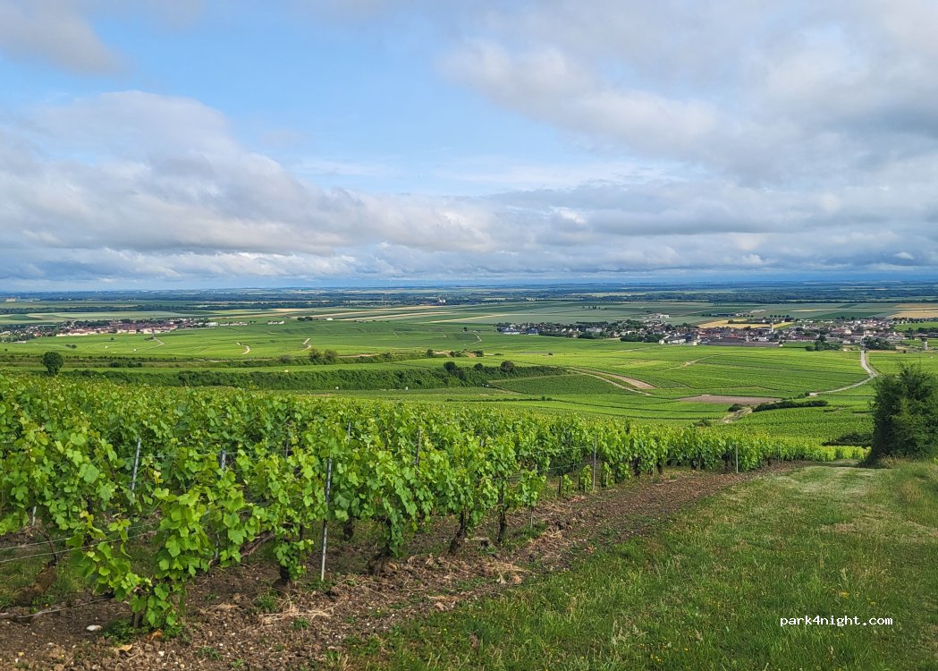 (51150) Bouzy - Unnamed Road — foto 5