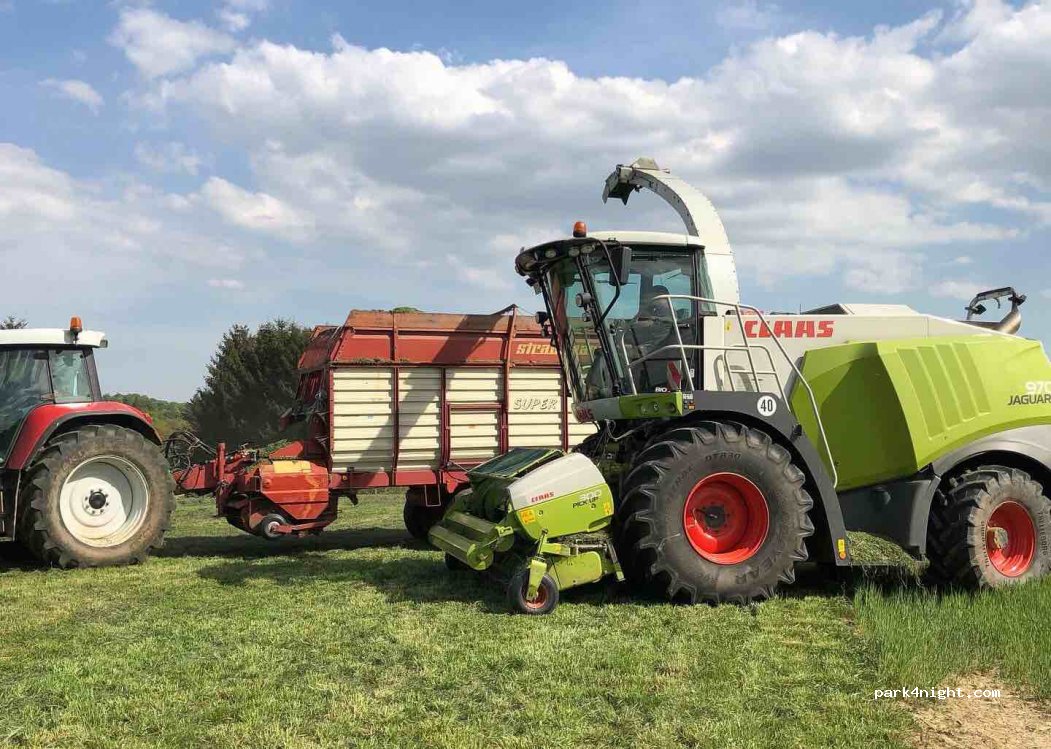 Steinacker — foto 2