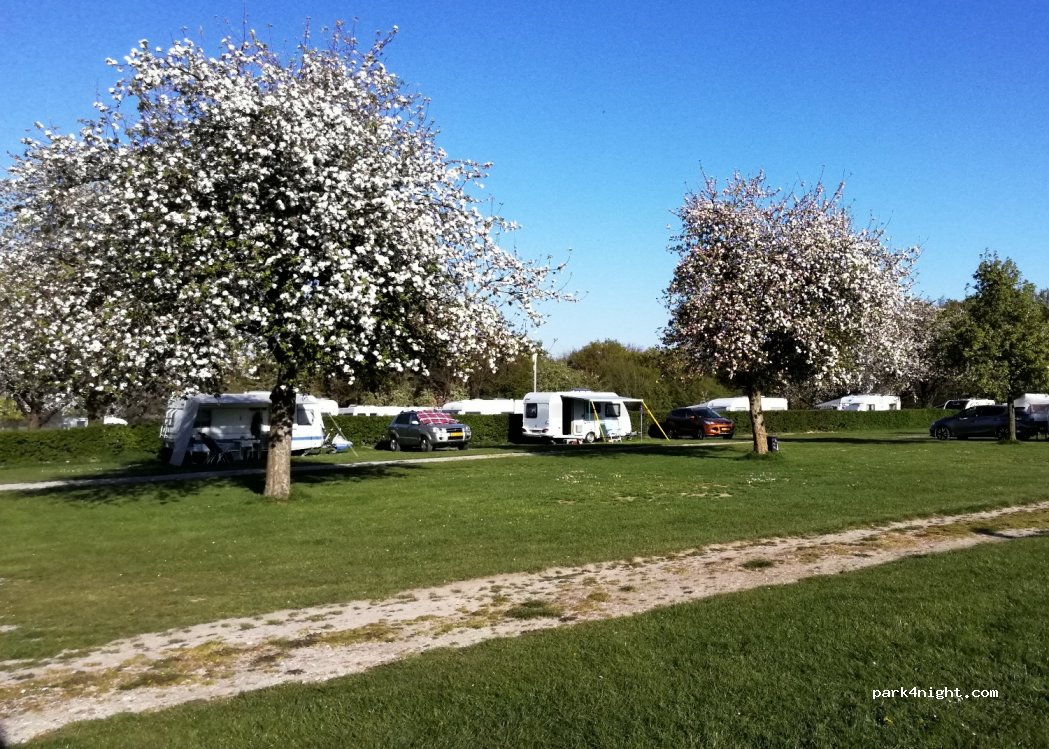 Kampeerterrein Oosterberg — foto 2