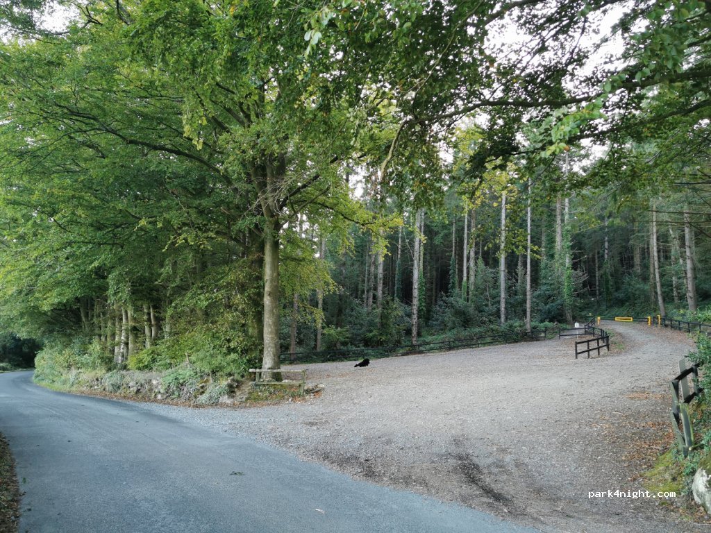 (Y21 HE65) Bree - Unnamed Road — foto 3