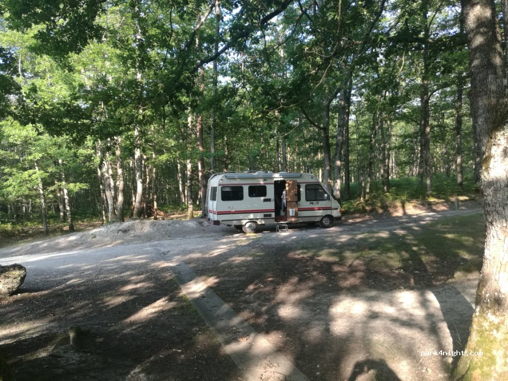 (45450) Nibelle - Route Forestière de Vitry-aux-Loges à Châtillon — foto 2