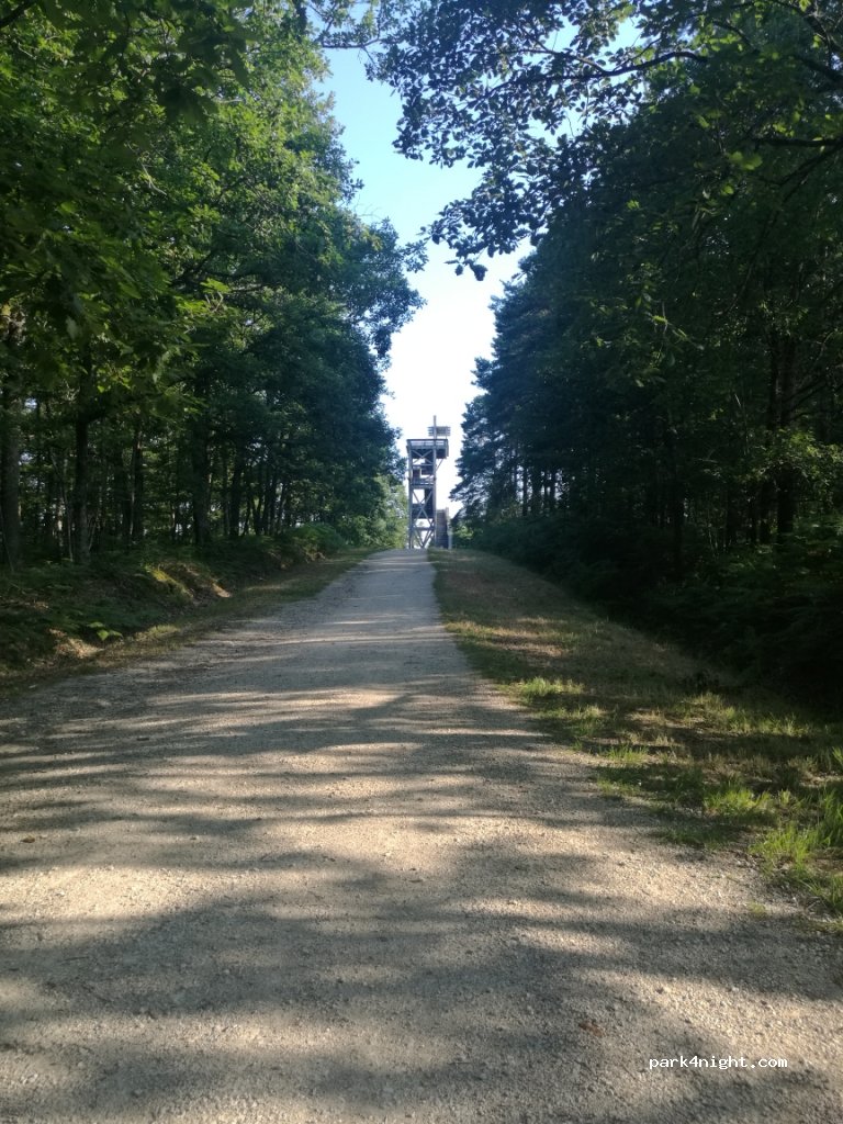 (45450) Nibelle - Route Forestière de Vitry-aux-Loges à Châtillon — foto 3