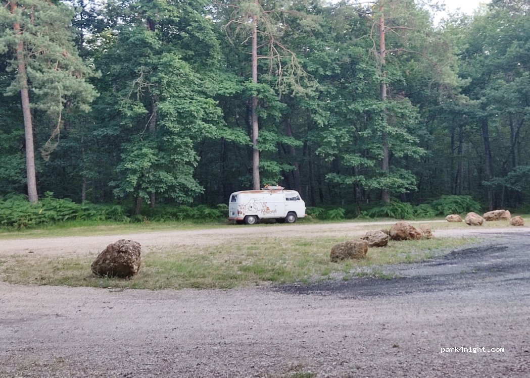 (45450) Nibelle - Route Forestière de Vitry-aux-Loges à Châtillon — foto 4