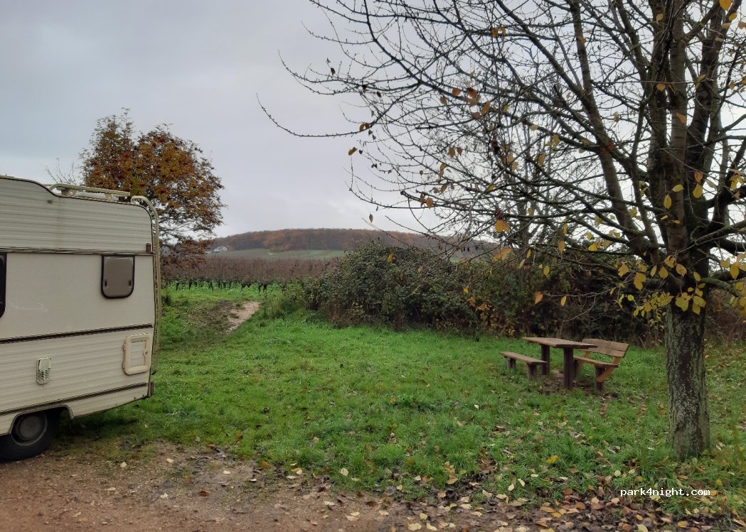(65396) Walluf - B42 — foto 3