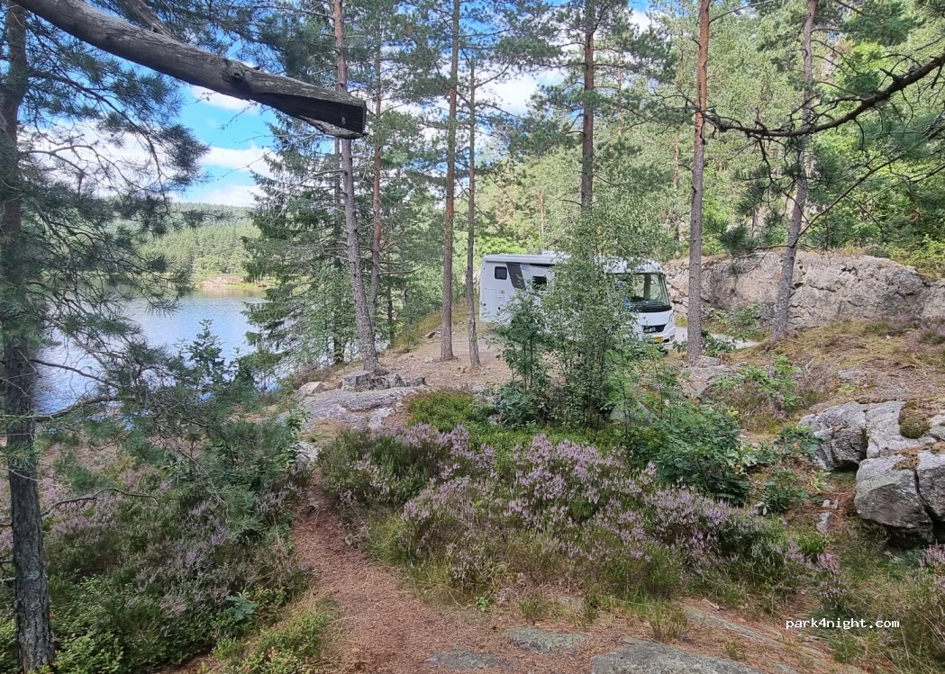 (4760)  - 380 Sekundær Fylkesveg 258 — foto