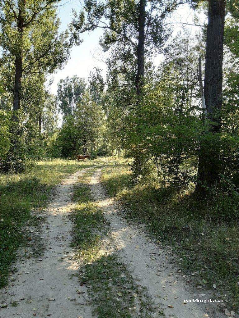 ()  - Unnamed Road — foto 4