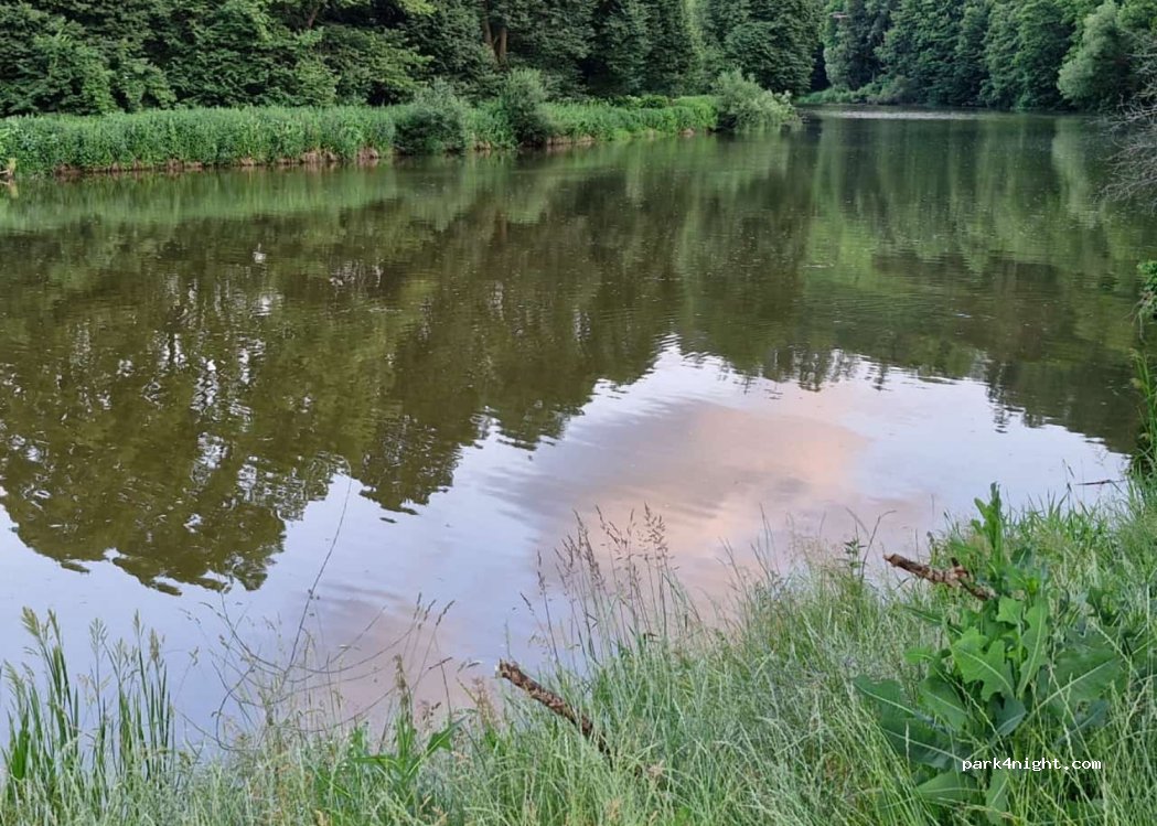 (257 26) Český Šternberk - — foto 4