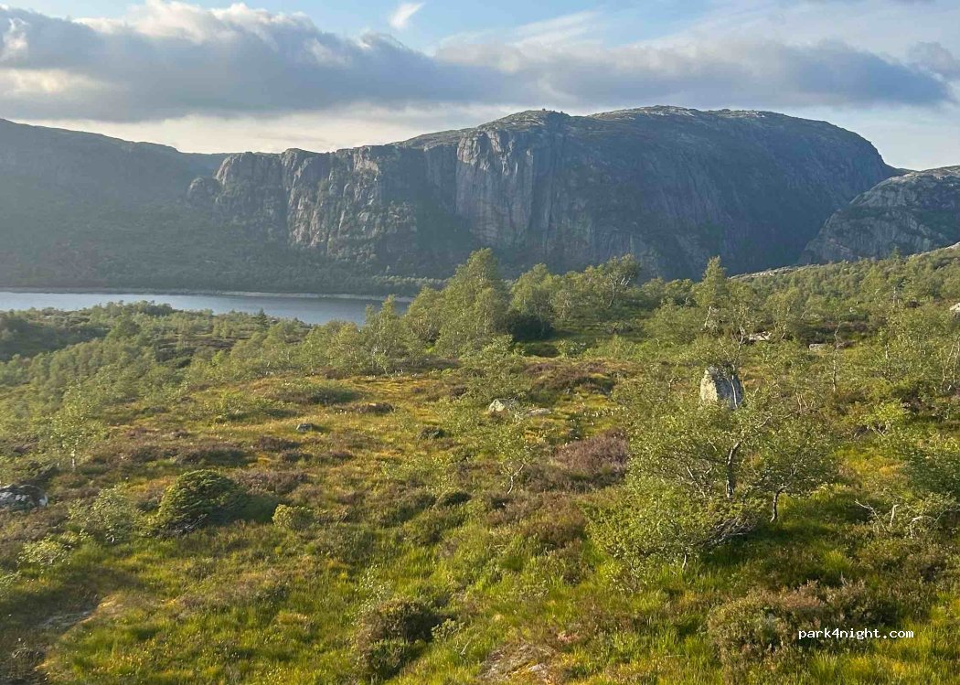(4443) - 19 Primær Fylkesveg 45 — foto 4
