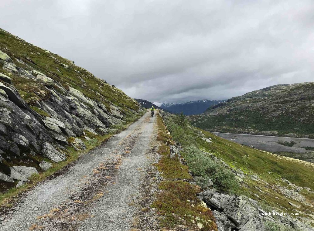 (6884) Årdal - 138 Sletterust — foto