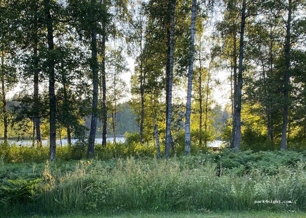 Locknevi Camping — foto