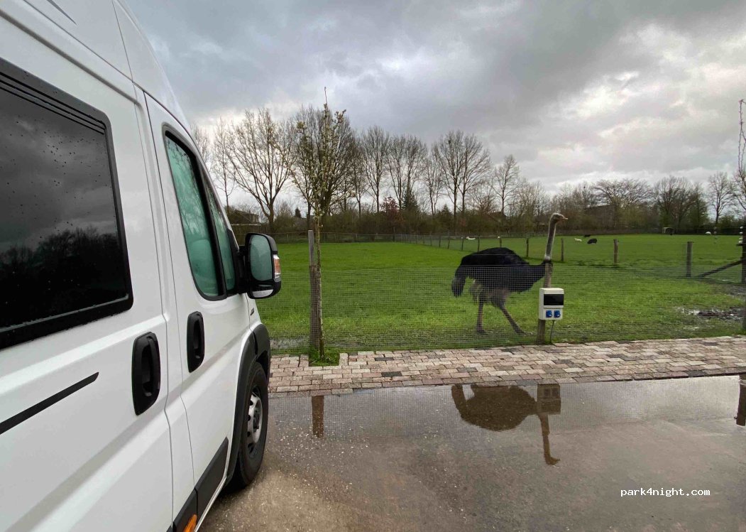 Camping de waterbuffelfarm Oldemarkt — foto 4
