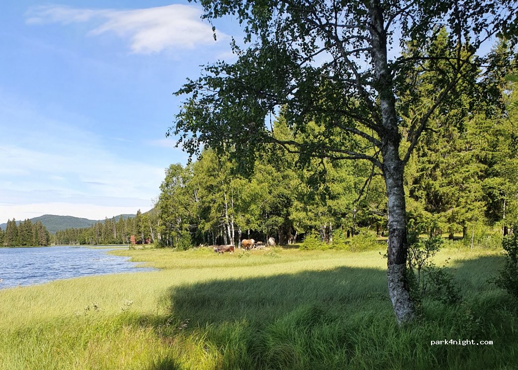 (2090)  - 7 Skrukkelivegen — foto 2