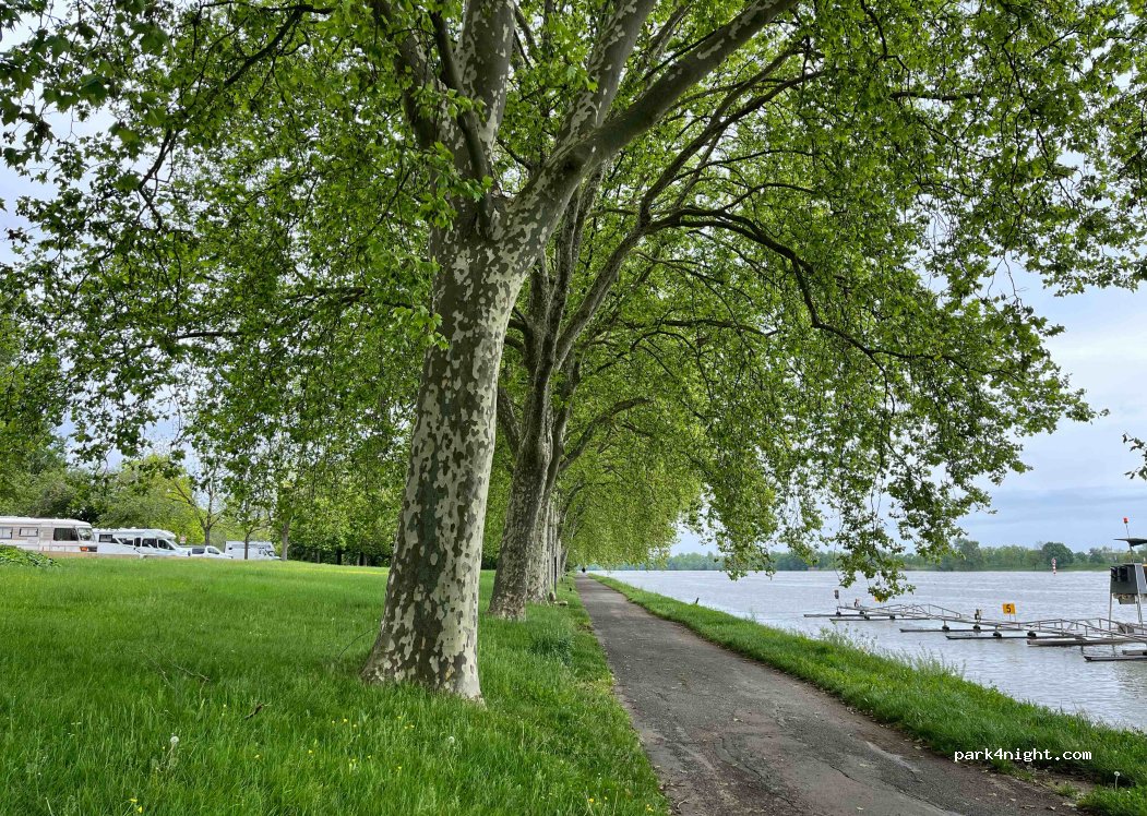(71000) Macon - Allée du Parc — foto 3