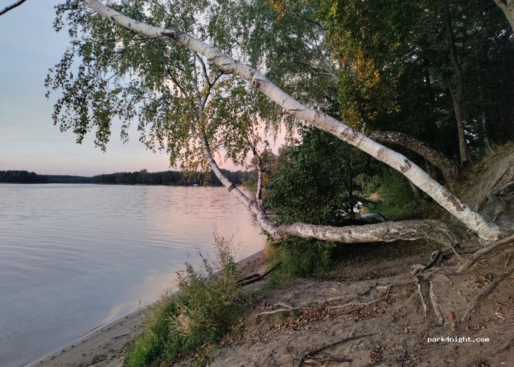 Półwysep Lipa — foto