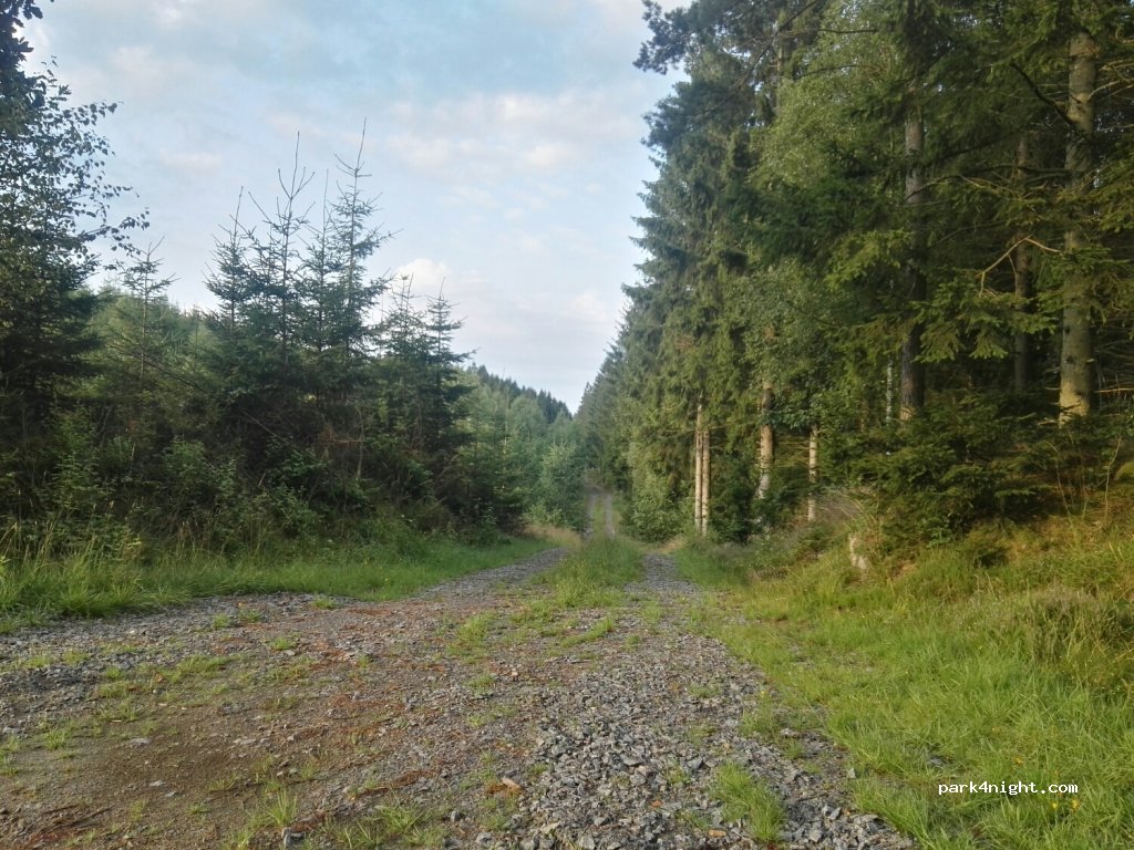 (310 44)  - Unnamed Road — foto 2