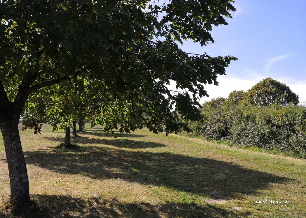 (67320) Berg - Site du Kirchberg — foto 3