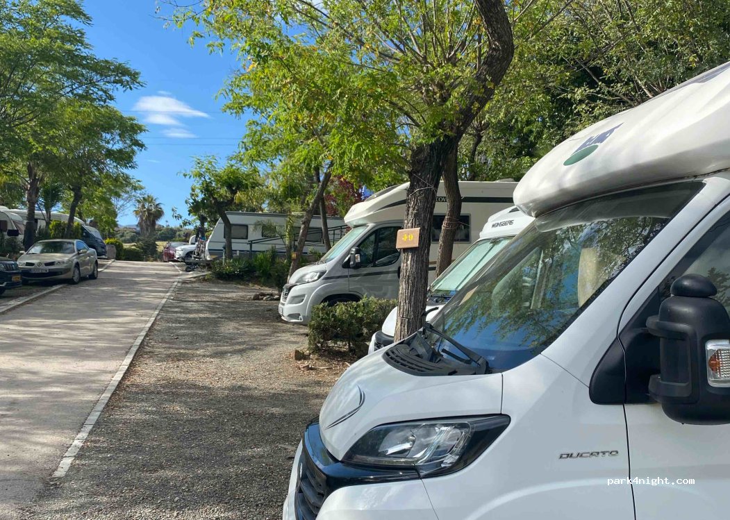 Camping Parque Tropical — foto 4