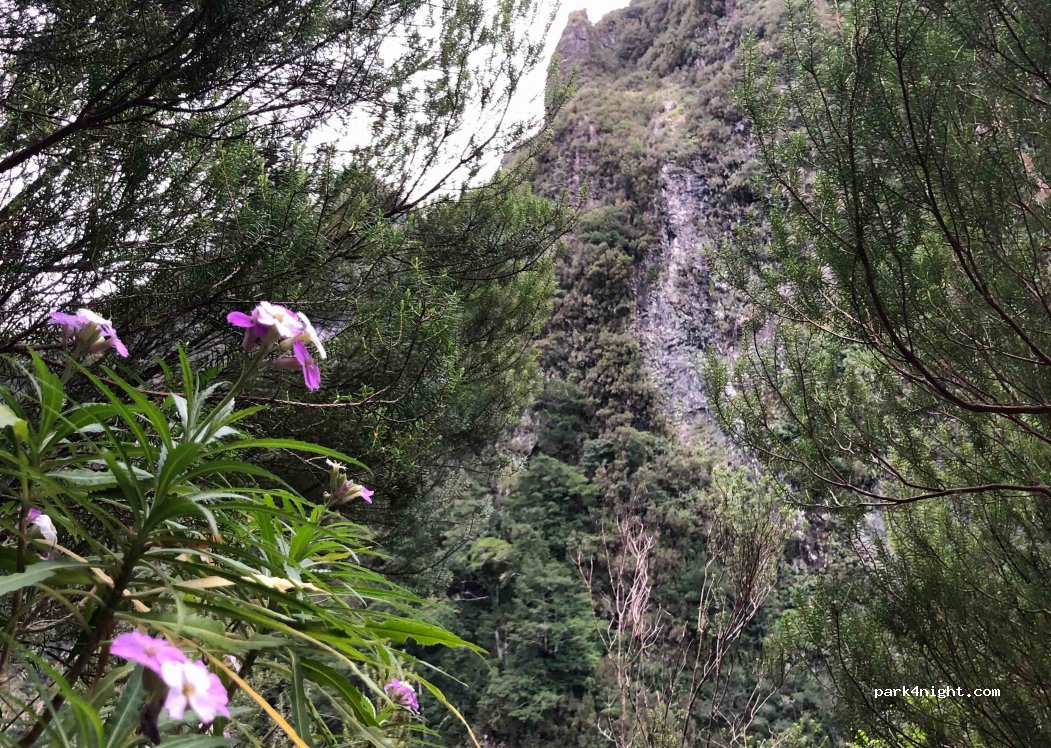 9 Levada do Caldeirão Verde — foto 2