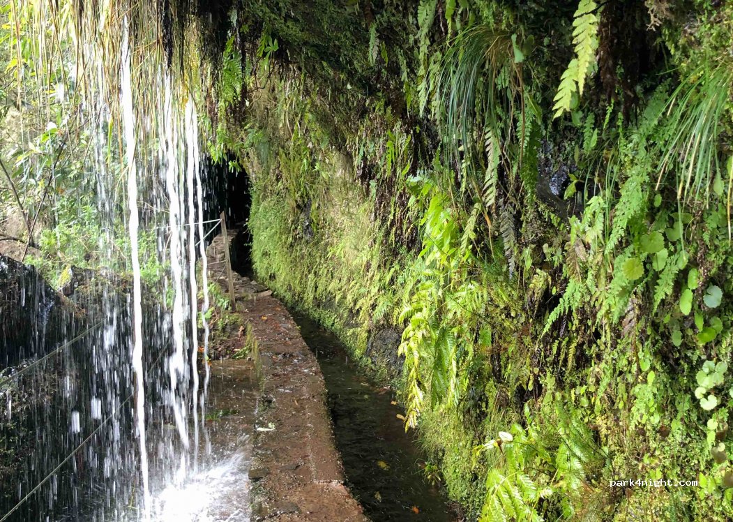 9 Levada do Caldeirão Verde — foto 3