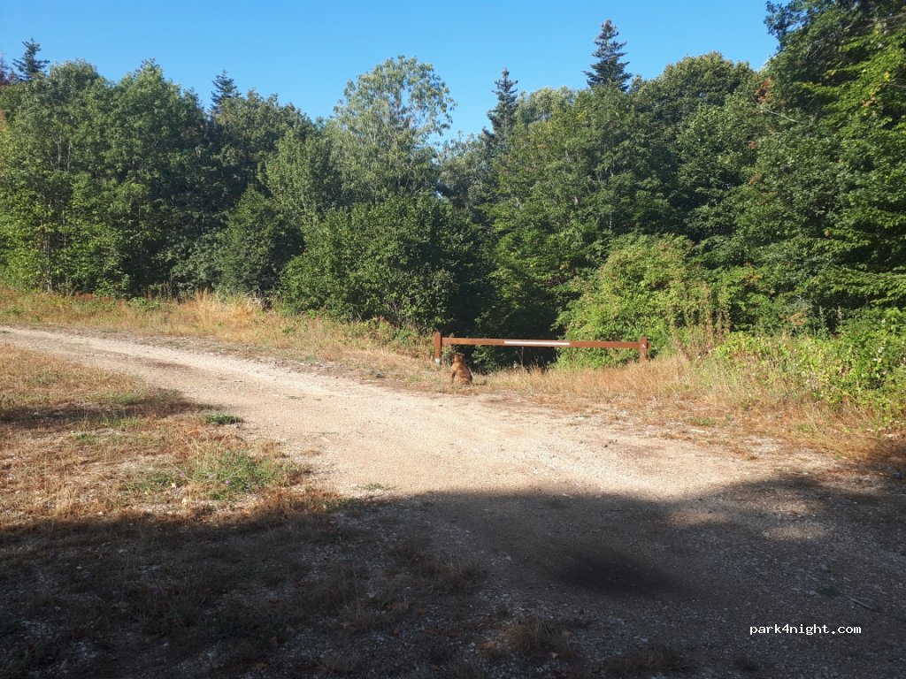 (21220) Curley - Unnamed Road — foto 2