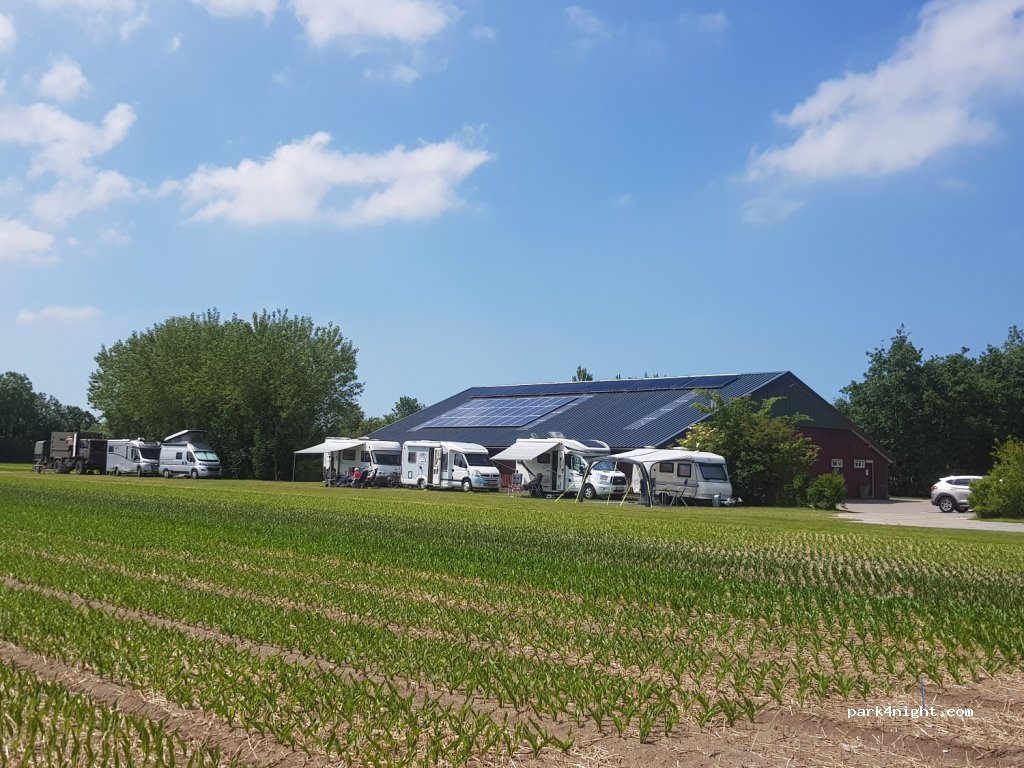 Campingboerderij Koegras — foto