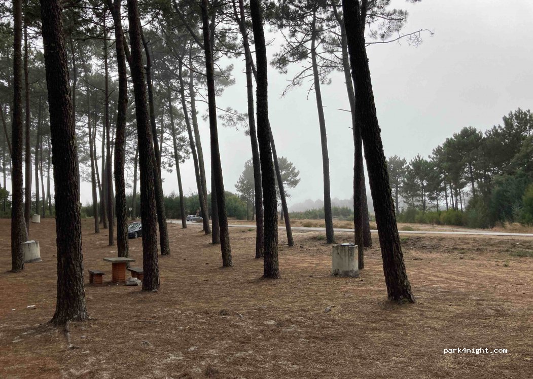 (3885) Cortegaça - Rua da Floresta — foto