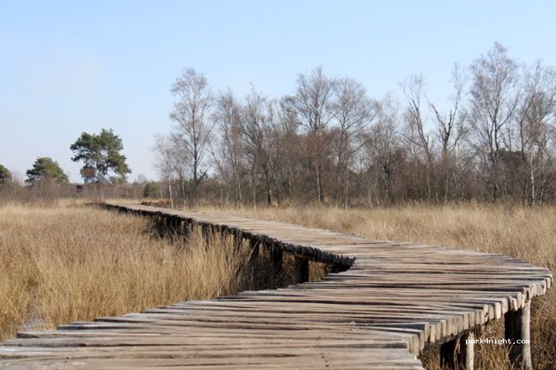 Gasthuys de Peel — foto 3