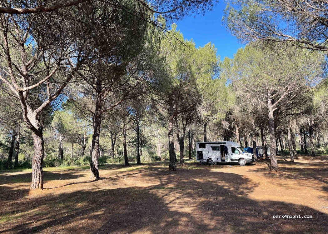 Camping Despeñaperros — foto 2
