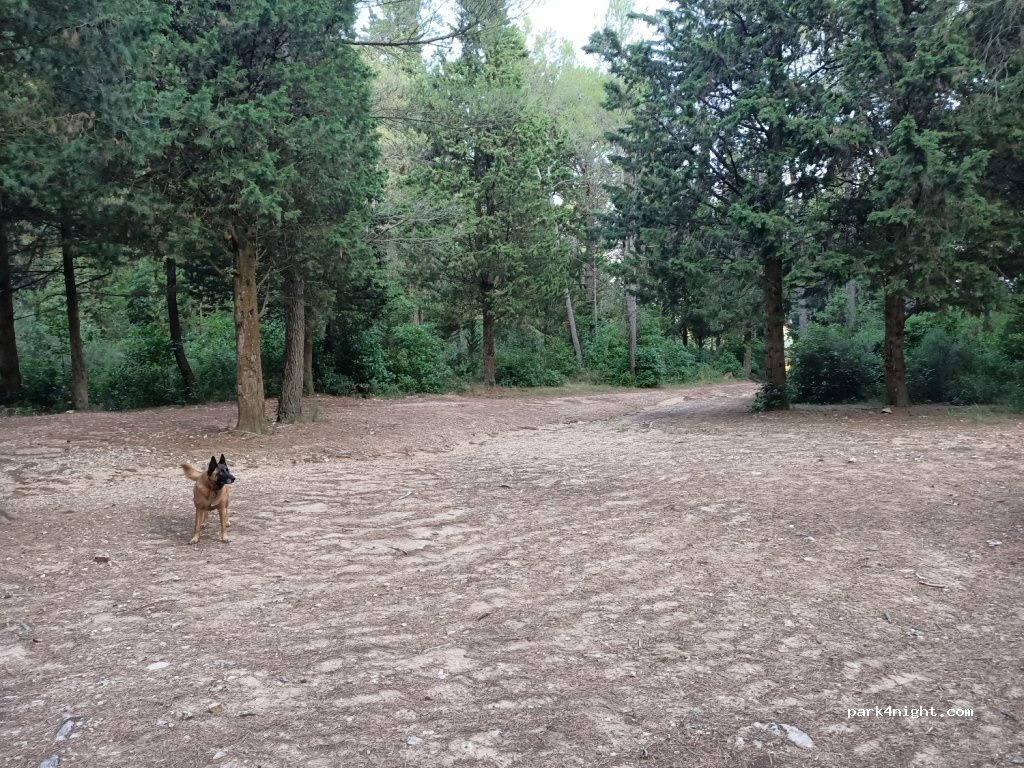 (11700) Douzens - Unnamed Road — foto 3
