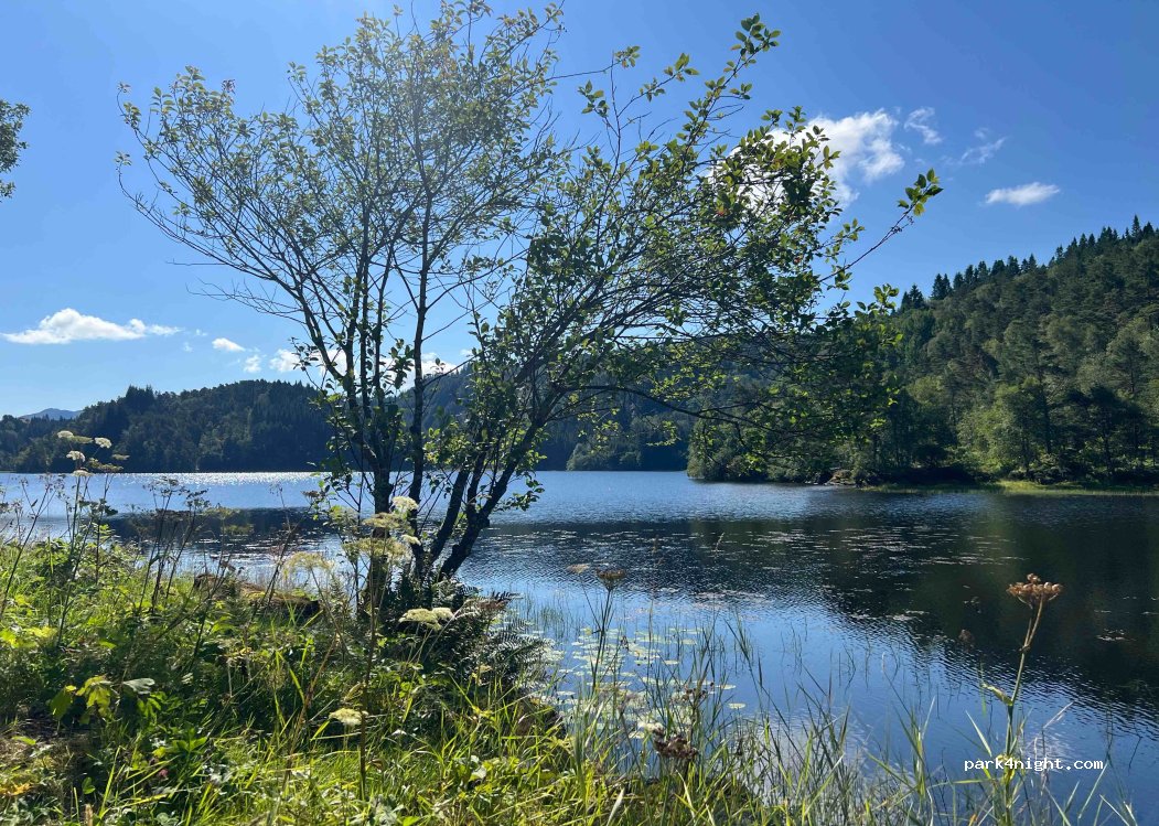 (6957) - Primær Fylkesveg 607 — foto 4