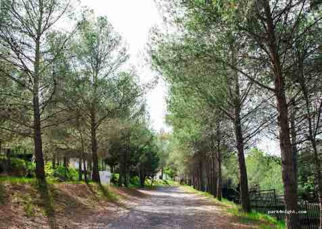 Camping Villa De Viver — foto 3