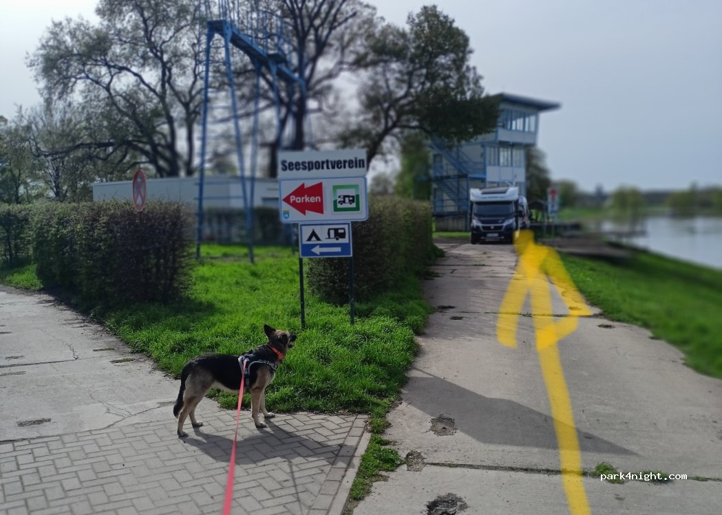 MBC Elbe Dessau e.V. — foto 4