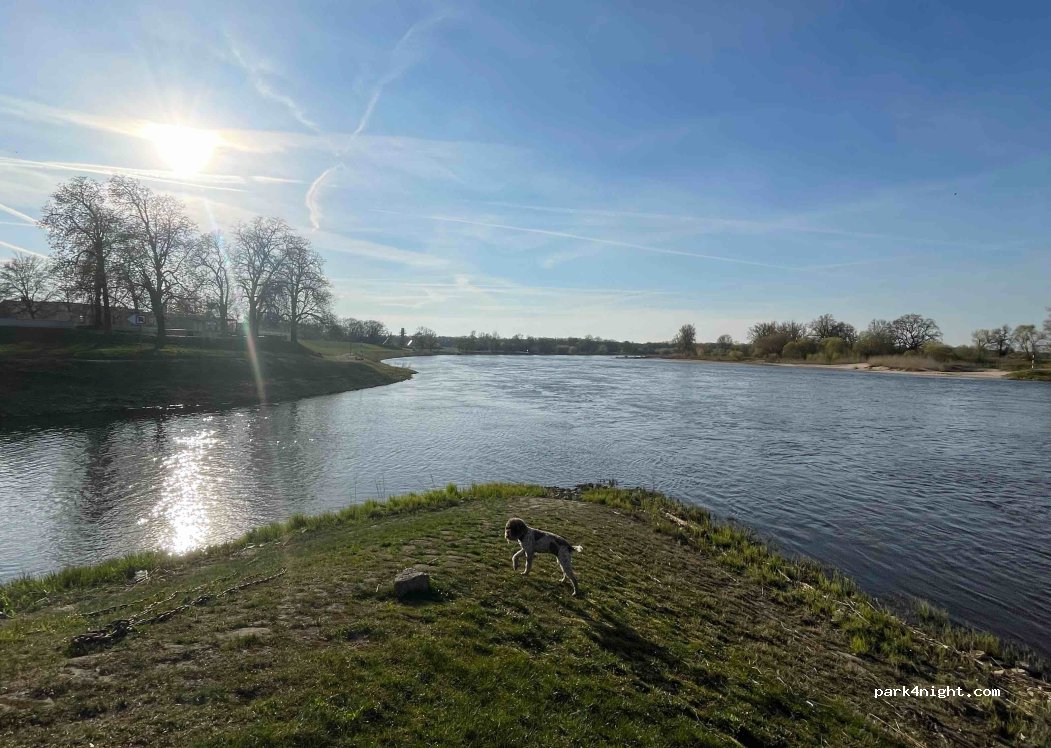MBC Elbe Dessau e.V. — foto 5