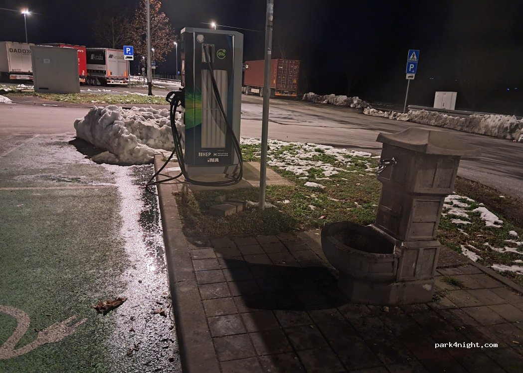 (10430) Celine Samoborske - A3 — foto 3