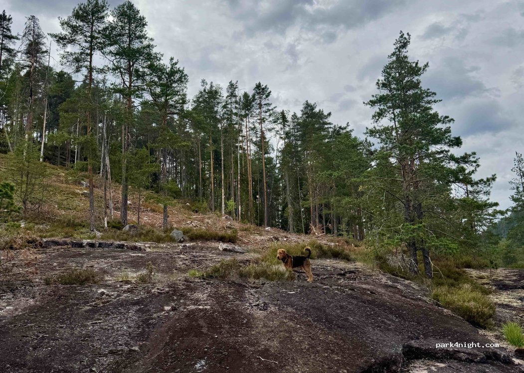 (3855)  - Unnamed Road — foto 5