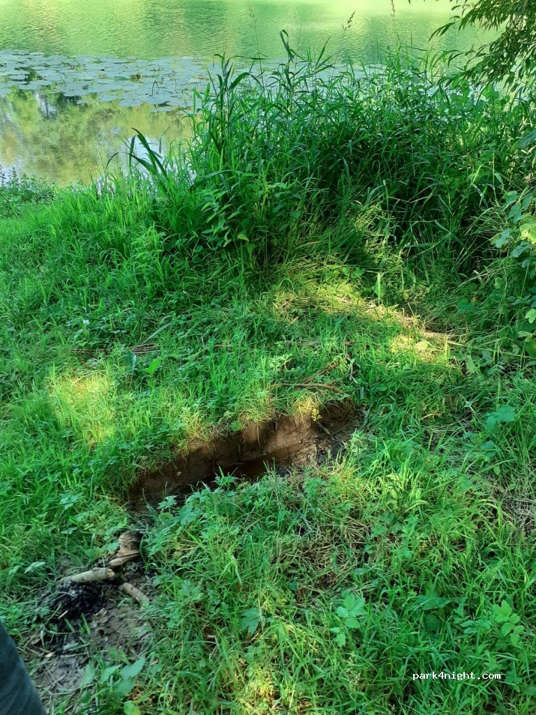 (51480) Damery - Chemin du Champ Râpé — foto 2