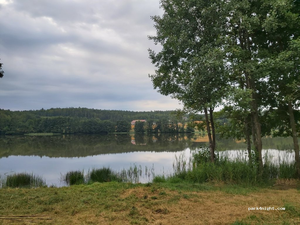 (83-329) Bącz - — foto 2