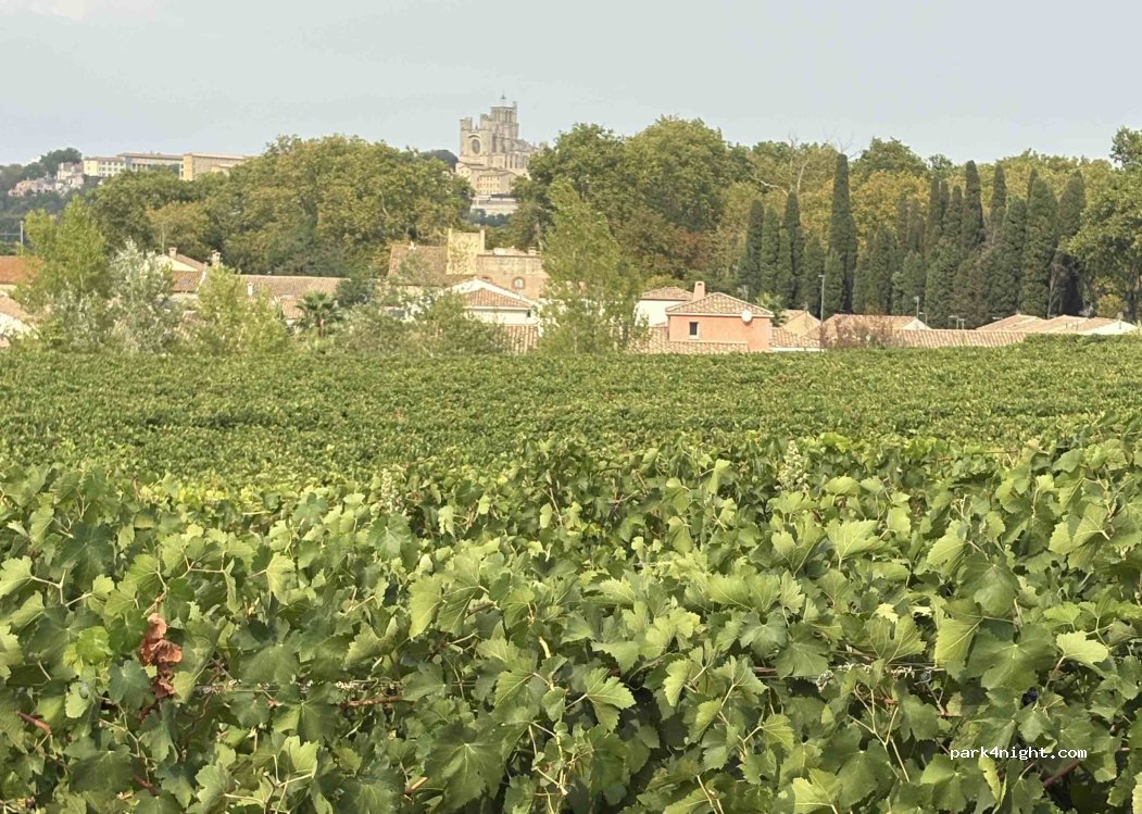 Domaine Mi-Côte — foto 5