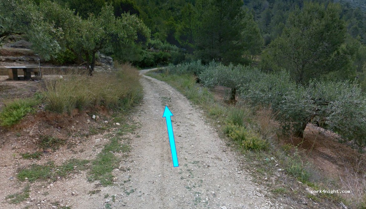 (46894) Genovés - 68C Partida Pino Grande — foto