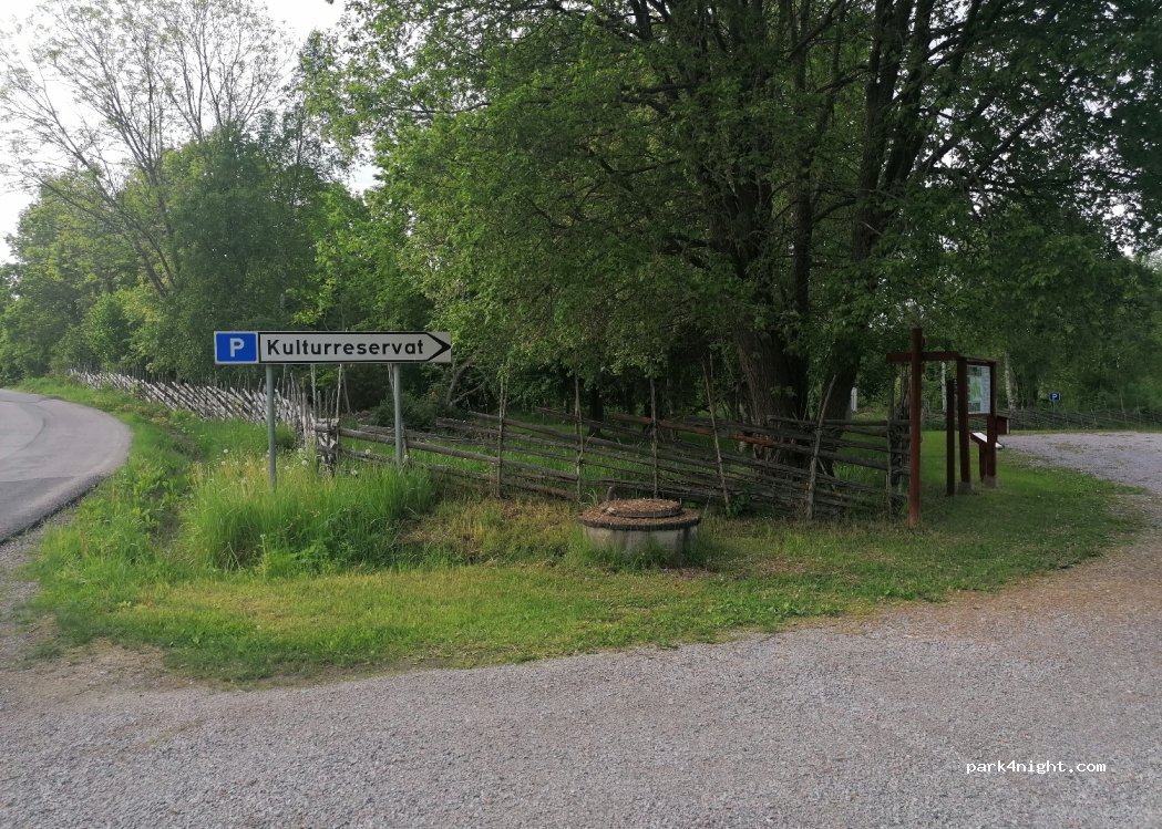 (819 64) Lonno - 101 LINGNÅRE — foto