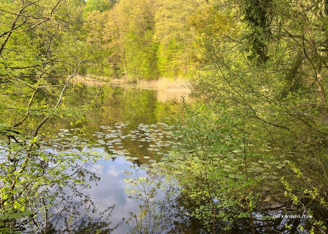 BergseeCamp — foto 4