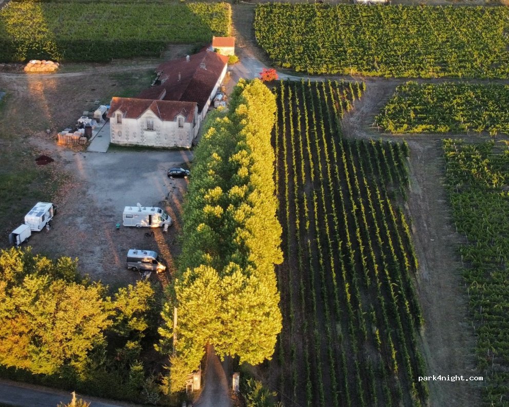 Vignobles Pestoury — foto 4