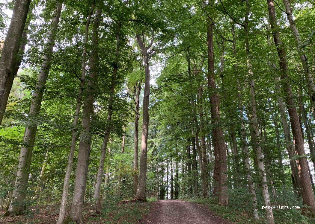 (24966) Sörup - Unnamed Road — foto 2