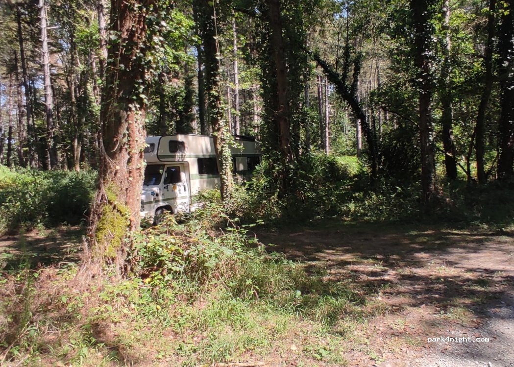 (65300) Pinas - Chemin du Moulin — foto 3