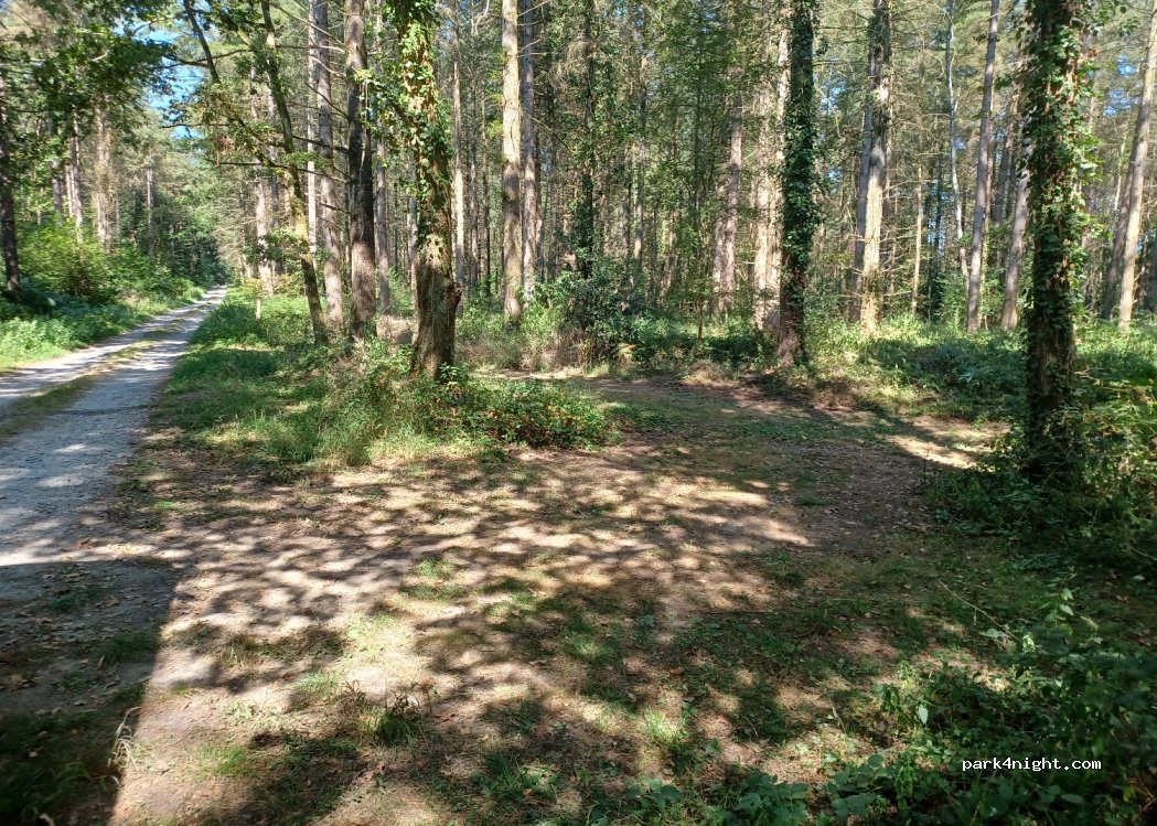 (65300) Pinas - Chemin du Moulin — foto 4