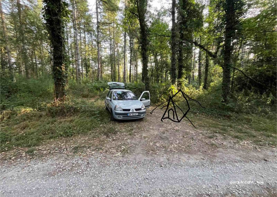 (65300) Pinas - Chemin du Moulin — foto 5