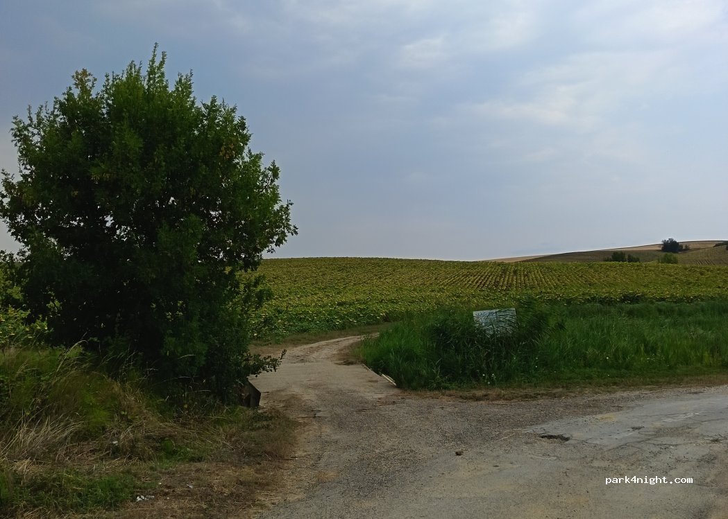 (31480) Garac - 21 Picard — foto 3