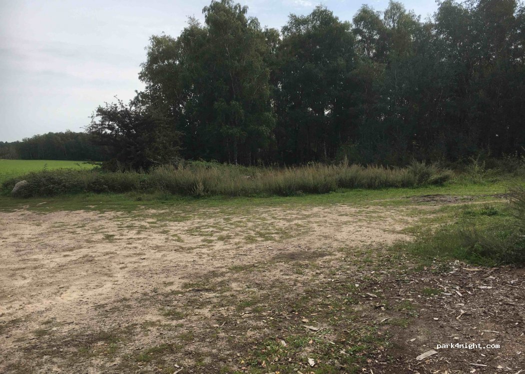 (21244) Buchholz in der Nordheide - — foto